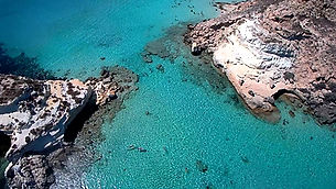 Lampedusa Conigli
